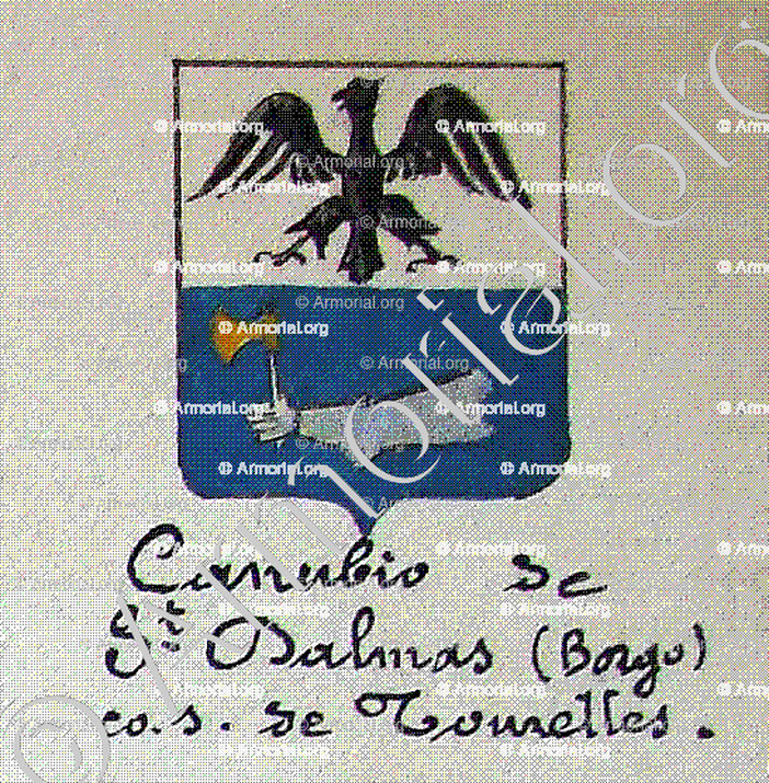 CANUBIO de SAINT DALMAS (BORGO)_Armorial Nice. (J. Casal, 1903) (Bibl. mun. de Nice)._France