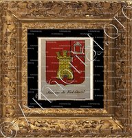 cadre-ancien-or-SALVIAC DE VIEL-CASTEL_Noblesse d'Empire._France