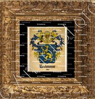 cadre-ancien-or-LESTONNAC_Malte_Malte