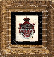 cadre-ancien-or-ACTON D'ALDENHAM_Shropshire, Italia_England Italia