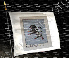 drapeau-VECCHIO_Armorial Nice. (J. Casal, 1903) (Bibl. mun. de Nice)._France