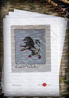 velin-d-Arches-VECCHIO_Armorial Nice. (J. Casal, 1903) (Bibl. mun. de Nice)._France