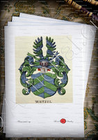 velin-d-Arches-WERZEL_Wappenbuch der Stadt Basel . B.Meyer Knaus 1880_Schweiz 