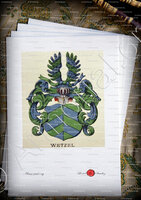 velin-d-Arches-WERZEL_Wappenbuch der Stadt Basel . B.Meyer Knaus 1880_Schweiz 