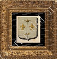 cadre-ancien-or-DOMREMY_Armorial des villes, bourgs, et villages., 1877._Europe