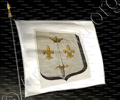 drapeau-DOMREMY_Armorial des villes, bourgs, et villages., 1877._Europe
