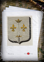 velin-d-Arches-DOMREMY_Armorial des villes, bourgs, et villages., 1877._Europe