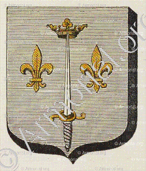 DOMREMY_Armorial des villes, bourgs, et villages., 1877._Europe