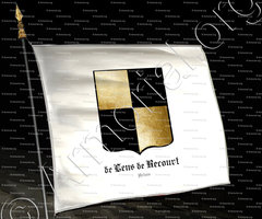 drapeau-de LENS de RECOURT_Artois_France (2)