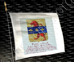 drapeau-FABRI (de Sospel)_Armorial Nice. (J. Casal, 1903) (Bibl. mun. de Nice)_France (1)