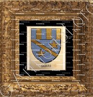 cadre-ancien-or-GABARD_Bourbonnais_France (ii)