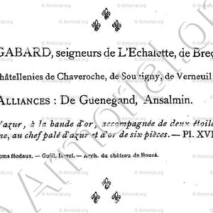 GABARD_Bourbonnais_France (v)