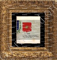 cadre-ancien-or-AUGERI_Armorial Nice. (J. Casal, 1902) (Bibl. mun. de Nice)_France (i)