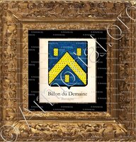 cadre-ancien-or-BILLON du DEMAINE_Bretagne_France (1)+