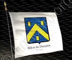 drapeau-BILLON du DEMAINE_Bretagne_France (1)+