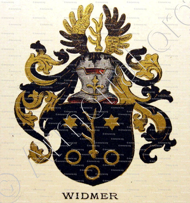 WIDMER_Wappenbuch der Stadt Basel . B.Meyer Knaus 1880_Schweiz 