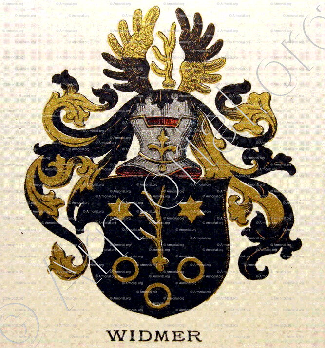 WIDMER_Wappenbuch der Stadt Basel . B.Meyer Knaus 1880_Schweiz 