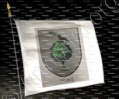 drapeau-GALLAIS_Bourbonnais_France