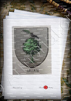 velin-d-Arches-GALLAIS_Bourbonnais_France