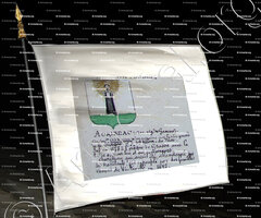 drapeau-AURIBEAU_Armorial Nice. (J. Casal, 1902) (Bibl. mun. de Nice)_France (i)