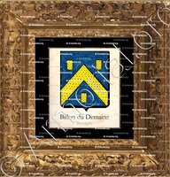 cadre-ancien-or-BILLON du DEMAINE_Bretagne_France+