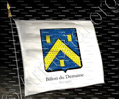 drapeau-BILLON du DEMAINE_Bretagne_France+