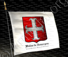 drapeau-WATINE de ZOMERGEM_Christian Watine de Zomergem_France