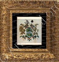 cadre-ancien-or-de PELICHY_Wapenboek van den Nederlandschen Adel door J.B.Rietstap 1883 1887_Nederland