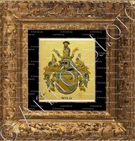 cadre-ancien-or-WILD_Wappenbuch der Stadt Basel . B.Meyer Knaus 1880_Schweiz 