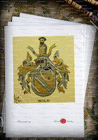 velin-d-Arches-WILD_Wappenbuch der Stadt Basel . B.Meyer Knaus 1880_Schweiz 