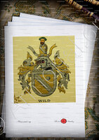 velin-d-Arches-WILD_Wappenbuch der Stadt Basel . B.Meyer Knaus 1880_Schweiz 