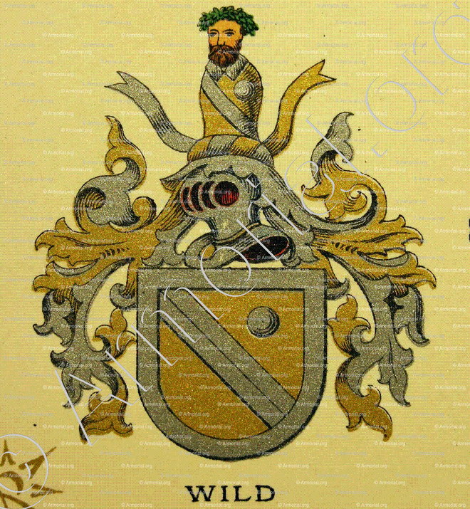WILD_Wappenbuch der Stadt Basel . B.Meyer Knaus 1880_Schweiz 