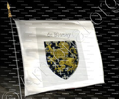 drapeau-de BLONAY _Vidomnes de Genève_Suisse