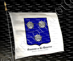 drapeau-CANONNE ou LE CANOINE_Flandre (anoblie en 1505)._France ()