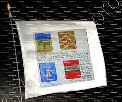 drapeau-FIGHIERA_Armorial Nice. (J. Casal, 1903) (Bibl. mun. de Nice)_France (2)