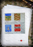 velin-d-Arches-FIGHIERA_Armorial Nice. (J. Casal, 1903) (Bibl. mun. de Nice)_France (2)