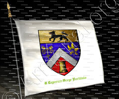 drapeau-PINAULT_Romain mariage_France