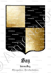 SAY