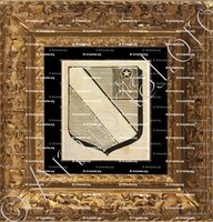 cadre-ancien-or-FONTENOY-LE-CHATEAU_Armorial des villes, bourgs, et villages., 1877._Europe (+)