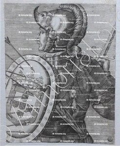 SEBASTIÃO
