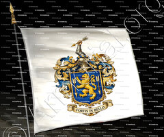 drapeau-CANTILLON DE BALLYHIGUE_Île-de-France_France  (1)