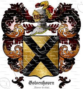 Van GOTSENHOVEN