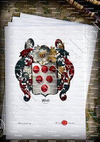 velin-d-Arches-ABATI_Firenze_Italia....