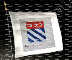 drapeau-BARALIS de Peillon, de Pigna_Armorial Nice. (J. Casal, 1902) (Bibl. mun. de Nice)_France (i)