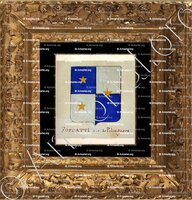 cadre-ancien-or-FOSSATTI_Armorial Nice. (J. Casal, 1903) (Bibl. mun. de Nice)_France (1)