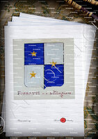 velin-d-Arches-FOSSATTI_Armorial Nice. (J. Casal, 1903) (Bibl. mun. de Nice)_France (1)