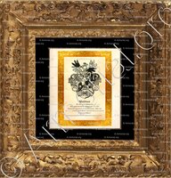 cadre-ancien-or-WALDNER_Die wappen des Mährischen_Heiliges Römisches Reich +