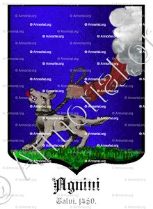 AGNINI