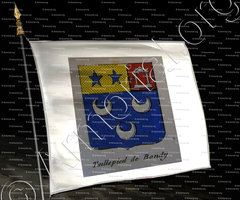 drapeau-TAILLEPIED DE BONDY_Noblesse d'Empire._France