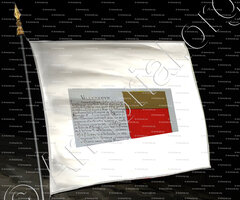 drapeau-VILLENEUVE_Armorial Nice. (J. Casal, 1903) (Bibl. mun. de Nice)_France (ii)